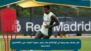 هل يصعد رودريجو إلى توتنهام بعد رحيل سون؟ تعرف على التفاصيل الحاسمة